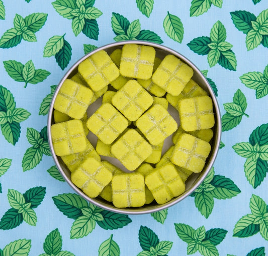 Cool Mint (200mg + 20mcg Methylcobalamin B12) SuperTaster